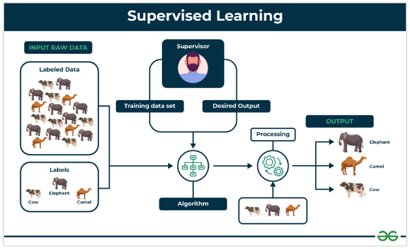 supervised learning